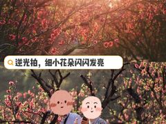 -南国桃园旅游度假区