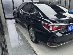 -跃通XPEL超级旗舰店(浦东店)