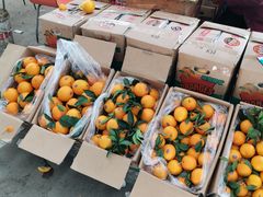 -东方鼎信农副产品交易中心