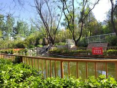 -太阳宫公园
