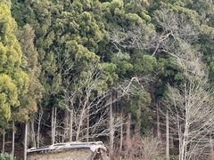 -白川乡与五箇山的合掌构造村落