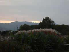 -长兴太湖图影湿地文化园