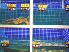 水产区-金龙·打边炉(南京西路店)