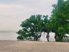 -宝安西湾红树林湿地公园