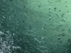 -三亚西岛海洋文化旅游区