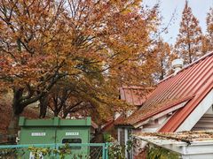 -神户市立六甲山牧场