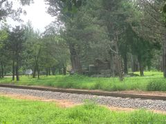 -秦皇岛野生动物园