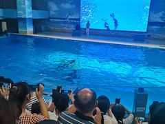 -锦艺城海洋馆