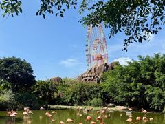 -芽庄珍珠岛游乐园