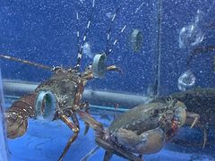 -白仁仔· 活烤海鲜 宵夜(豫园店)