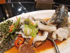 青花椒蒸龙胆鱼-闽和南(深圳万象城店)