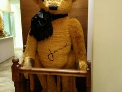 -济州岛泰迪熊博物馆