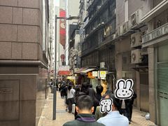 -珍妮曲奇聪明小熊(上环店)