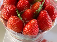 -Dark Horse·黑马蛋糕·低脂·低糖淡奶(金匙望湖大厦店)