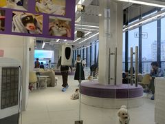 -怪兽屋·羊驼·猫咖·狗咖(俊华广场店)