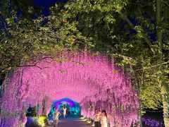 -广东花都香草世界旅游度假区