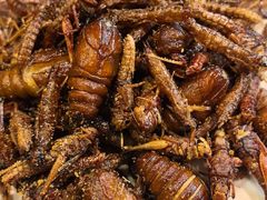 -铁锅炖灶台鱼老三炖鱼馆