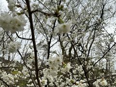 -贵阳市花溪国家城市湿地公园