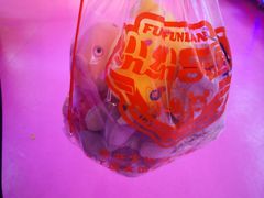 -肥猫烤翅·20年老字号(锦州道店)