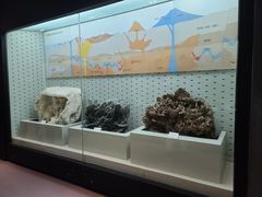 -浙江自然博物院(杭州馆)