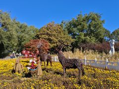 -丰台花园