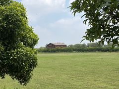 -池杉湖湿地公园