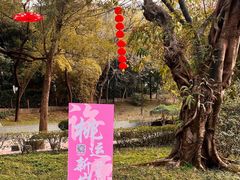 -桃花涧