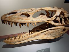 -自贡恐龙博物馆