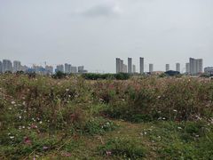 -尚贤河湿地