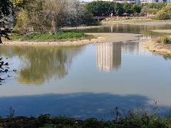 -广东花都湖国家湿地公园