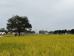 -艾米稻香小镇