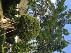 三亚凯莱仙人掌度假酒店-三亚亚龙湾凯莱仙人掌度假酒店