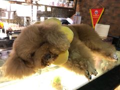 -more than meow吴止猫主题餐厅(承德 中船汇店)