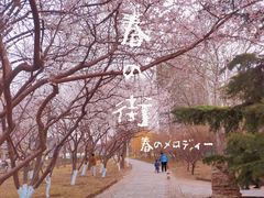 -泰丰公园