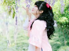 -嘉定紫藤园