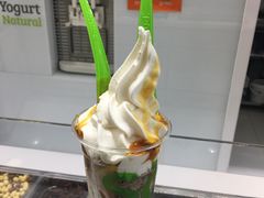 -Salud撒露欧洲冻酸奶(蓝色港湾店)