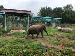 -西安秦岭野生动物园