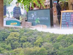 -东钱湖旅游度假区