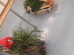 -桂林公园(地铁站)