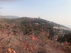 -府君山公园
