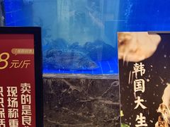 -忆江南·临江鱼馆