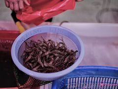 -科巷菜场