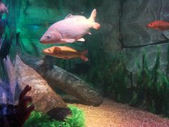 -沈阳海洋探索中心