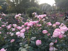 -人民公园(罗湖区)