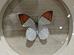 -深圳龙华星河COCO City(民治店)