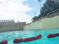 -上海玛雅海滩水公园