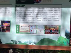 -野象谷景区