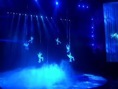 -水秀国际大剧院