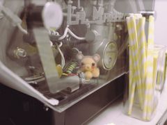 -五进制 Coffee Shop