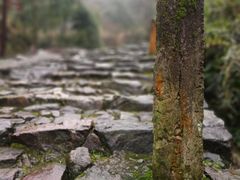 -仙霞关景区